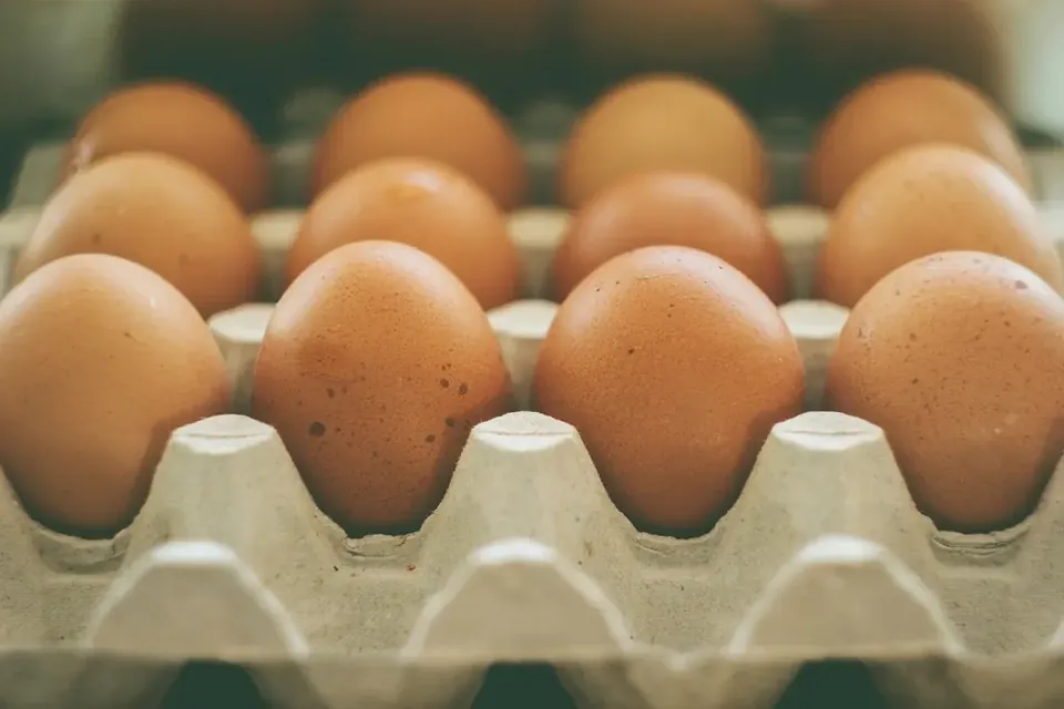 Rows of brown eggs sitting in a cardboard egg tray