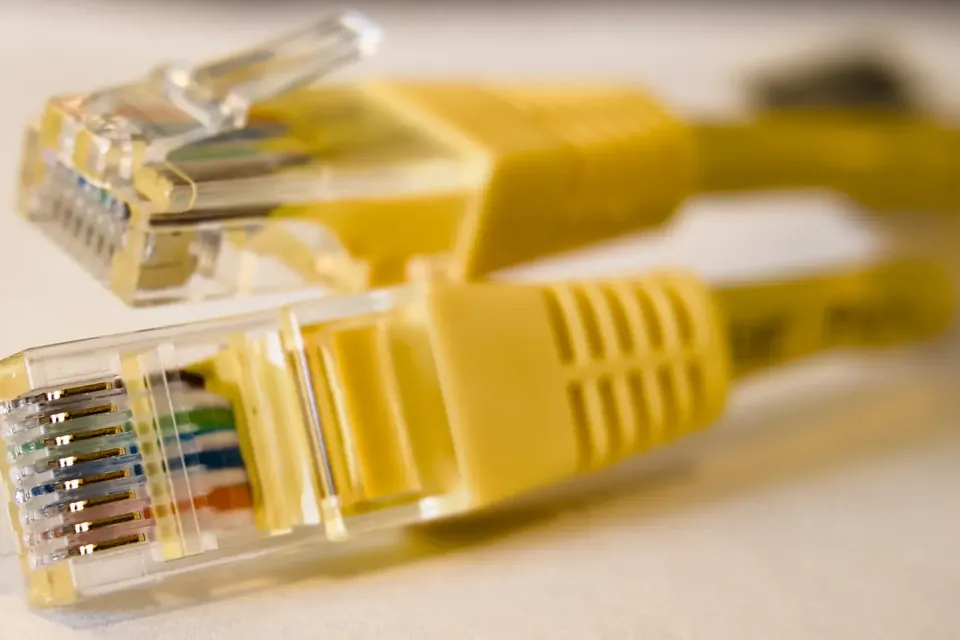 Two yellow network cables with clear RJ45 plugs